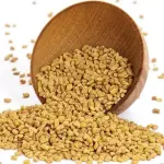 Fenugreek